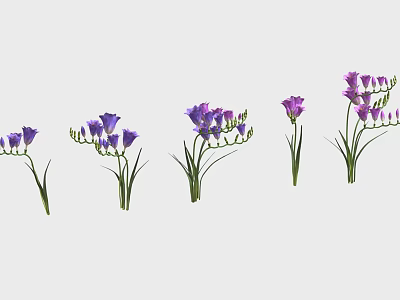 Purple Flowering Plants In Various Growth Stages With Green Stems And Fresh Blooms 3d model
