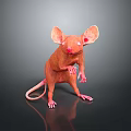 Standing Pink Mouse With Large Ears And Red Eyes On Black Background With Reflection 3d model