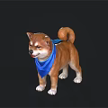 Adorable Shiba Inu With Blue Scarf Brown Fur And Curly Tail Standing Pose