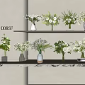 X DDRSF Display Various Vases with White and Green Flowers on Wall Shelves Light Wall