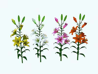 Yellow White Pink Orange Lily Flowers with Buds and Blooms Arranged in Four Bundles 3d model
