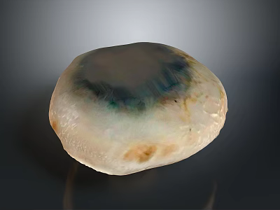 Natural Stone and Wood Decorative Piece with Unique Texture and Earthy Colors 3d model