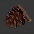Detailed Pine Cone With Intricate Scales Natural Brown Texture And Wooden Stem