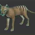 Wild Canine Animal With Brown Fur Black Stripes And Long Tail