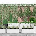 Bonsai Potted Plants With Trees Greenery In White Rectangular Planters On Floor Green Vine Wall 3d model