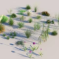 Diverse Decorative Grasses And Flowers With Green Herbaceous Plant Varieties