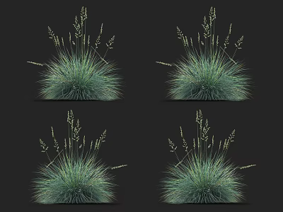 Decorative Green Grass Plants With Long Leaves And Spiky Tops For Garden Landscaping 3d model