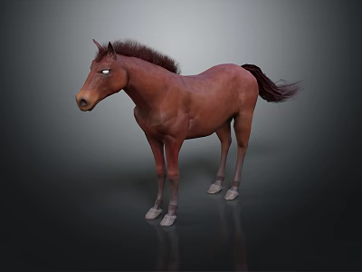 Brown Horse Standing With Flowing Mane And Tail On Dark Surface 3d model