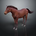Brown Horse Standing With Flowing Mane And Tail On Dark Surface 3d model