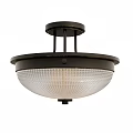 Modern Ceiling Light With Black Metal Frame And Transparent Grid Lampshade 3d model
