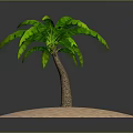 Vibrant Green Palm Tree With Lush Leaves Standing On Isolated Sandy Surface