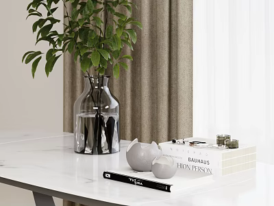 Green Leafy Plants in Transparent Vase on White Table with Curtain and Decorative Books 3d model