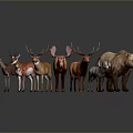 Various Animal Figurines Collection Featuring Deer Pig Bear And Other Species