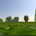 Different Types of Shrubs Growing on Green Grass Field Under Blue Sky With White Clouds