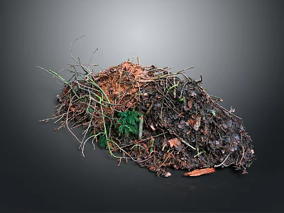Natural Compost Pile With Twigs Fallen Leaves Soil And Green Plants 3d model