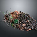 Natural Compost Pile With Twigs Fallen Leaves Soil And Green Plants
