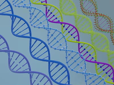 Advanced Medical Devices Utilizing DNA Double Helix Molecular Structure for Genetic Research 3d model