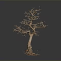 Natural Wood Tree Sculpture With Intricate Branches And Stone Base Design