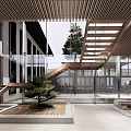 Modern Sales Office Design With Wooden Ceiling Glass Wall Staircase And Courtyard Pine Tree
