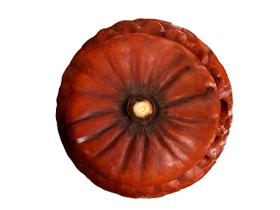 Natural Red Flower Top View With Textured Petals And Yellow Center Bloom 3d model