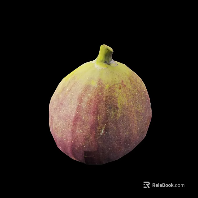 Fresh Fig with Purple Red and Yellow Skin on Black Background Looking Juicy and Ripe 3d model 