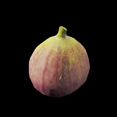 Fresh Fig with Purple Red and Yellow Skin on Black Background Looking Juicy and Ripe 3d model