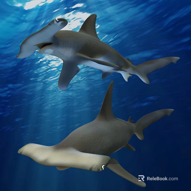 Two Hammerhead Sharks Swimming In Blue Ocean Water With Sunlight Rays 3d model 