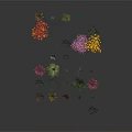 Colorful Garden Plants With Various Greenery And Flower Species In Arrangement
