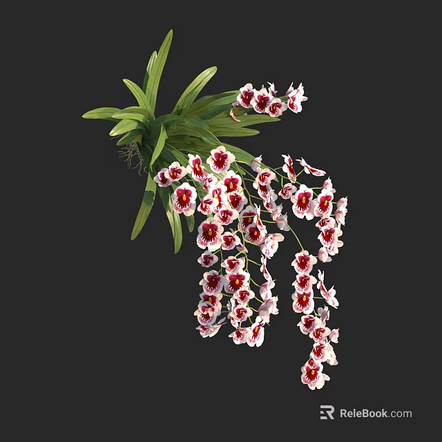 Elegant Orchid Flowers With Green Foliage And Pink Red Spotted Petals Hanging 3d model 