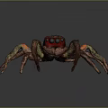 Realistic Spider With Brown Body Red Black Head And Green Orange Legs