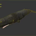 Large Black Whale With Open Mouth And Sharp Teeth On Gray Background 3d model