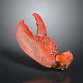 Appetizing Red Cooked Lobster Claw With Shiny Surface And Detailed Texture On Dark Background