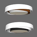 Modern Minimalist Ceiling Light With Gold And Green Inner Ring Design 3d model