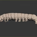 Long pink segmented caterpillar crawling on smooth dark surface with reflection 3d model