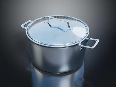 Stainless Steel Cooking Pot With Lid And Two Handles For Kitchen Use 3d model