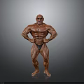 Muscular Man Bodybuilder Posing to Display Well Defined Physique and Muscle Definition