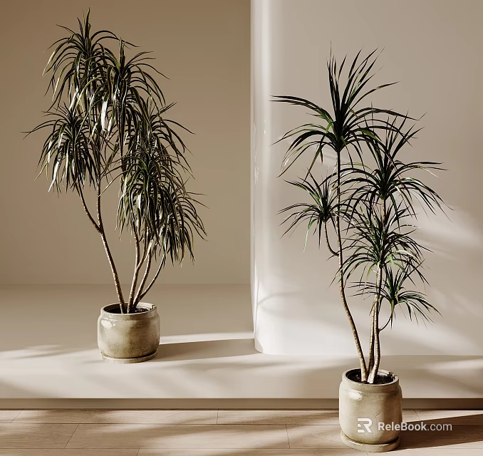 Tall Leafy Potted Plants In Terracotta Pots On Light Surface With Natural Soft Light 3d model 