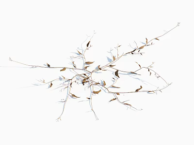 Natural Dried Vines With Withered Leaves Isolated On White Background 3d model
