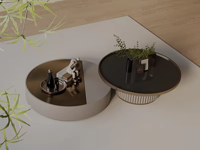 Modern Sofa Coffee Table Set With Round Design And Green Plant Decor 3d model
