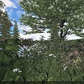 Lush Green Shrubs With White Flowers Surrounded By Trees Near Lake Under Blue Sky