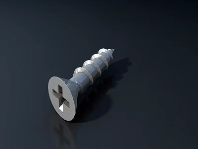 Stainless Steel Cross Head Screw Essential Hardware Tool with Durable Metal Construction 3d model