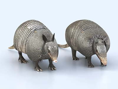 Pangolin dragon carp ling carp stone dace 3d model