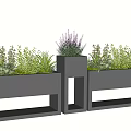Modern Black Geometric Planters With Mixed Green Plants And Purple Flowers