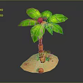 Green Leaf Palm Tree With Brown Trunk And Three Coconuts On Sand Base 3d model