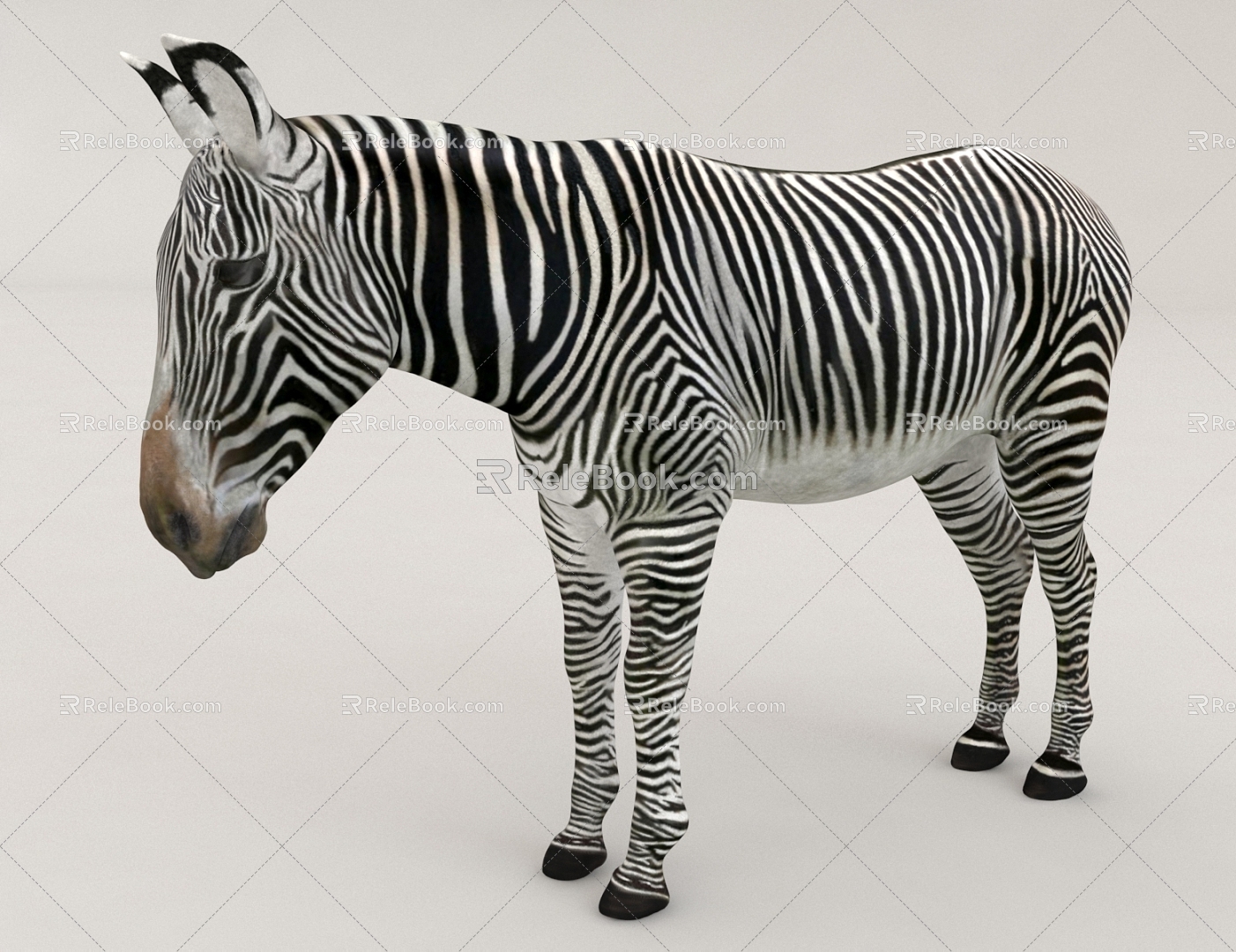 zebra beast animal 3d model