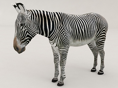 zebra beast animal 3d model