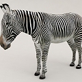 zebra beast animal 3d model