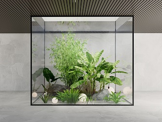 Modern Plant Indoor Green Plant Landscape Plant Combination 3d model