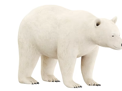 White Polar Bear Standing In White Background With Realistic Fur Details 3d model