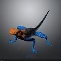 Colorful Lizard With Orange Head Blue Body On Dark Background Showing Vibrant Scales